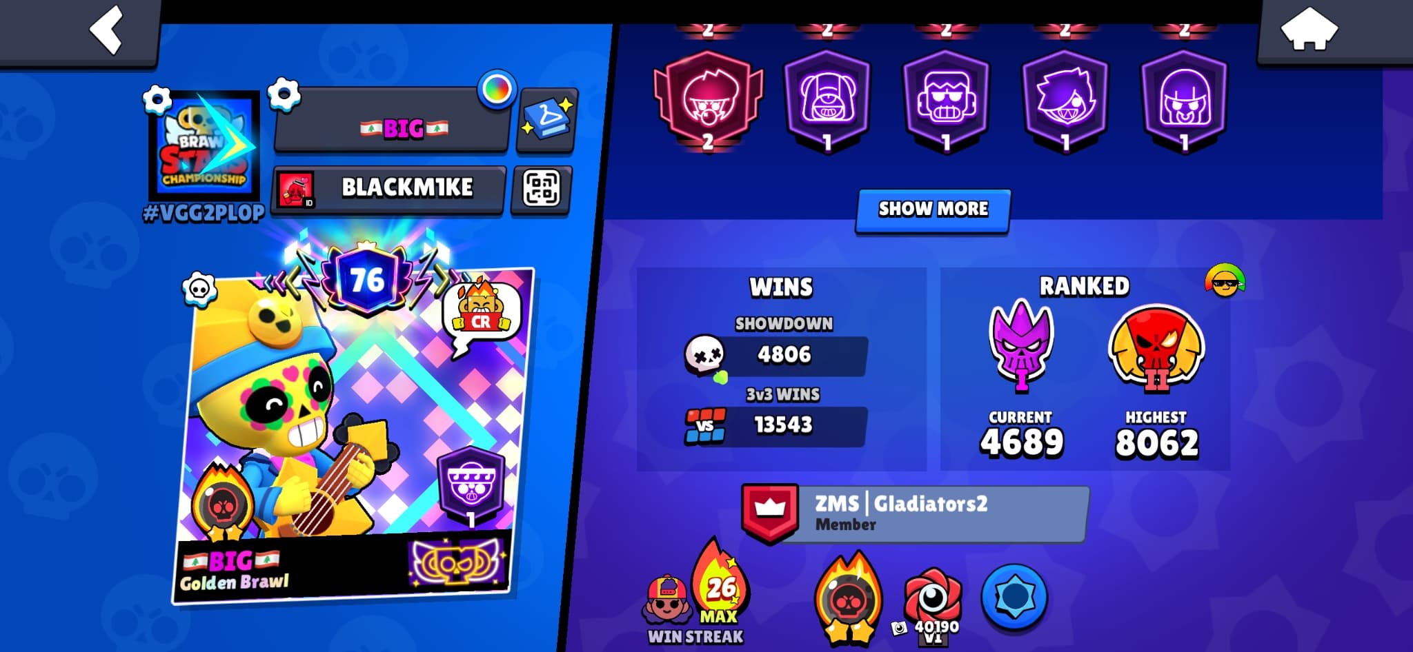 Maxed Brawl Star — image 1