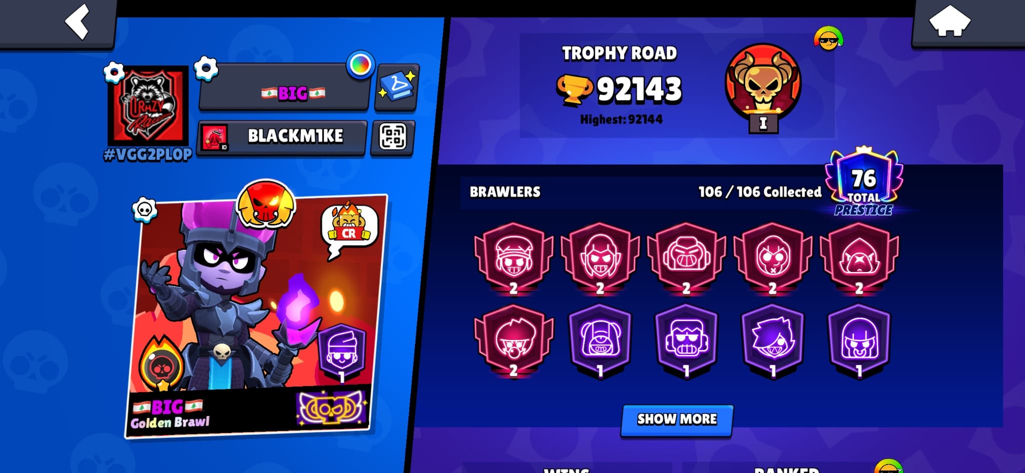 Brawl stars + th 13 coc — image 1